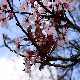 fr&uuml;hling - endlich!!