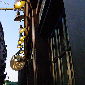 union oyster