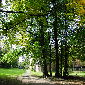 im park