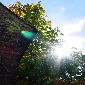 gegen die sonne