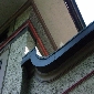 frank lloyd wright